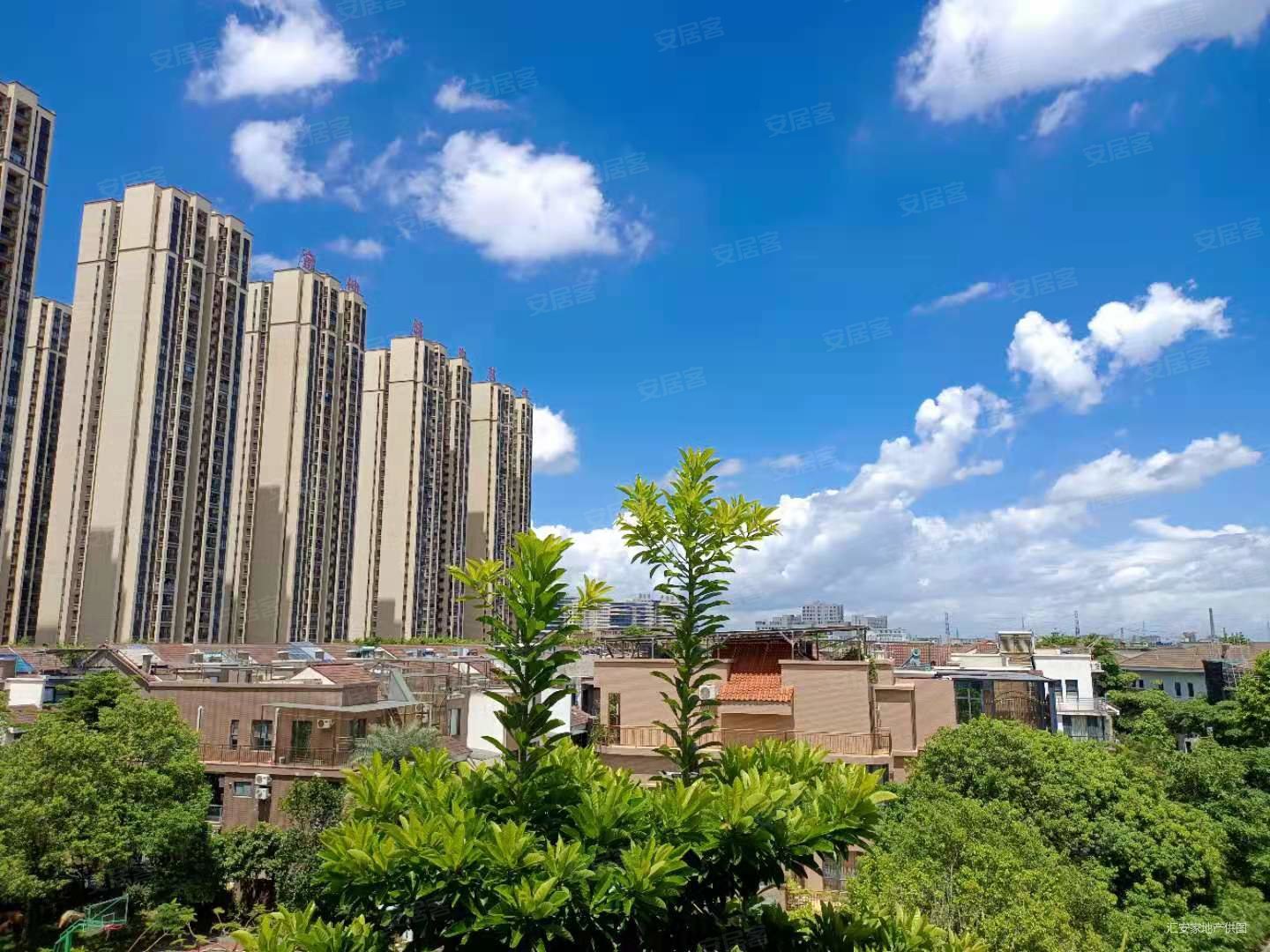 可入户南城南沿海丽水佳园精装修一房急售看房方便