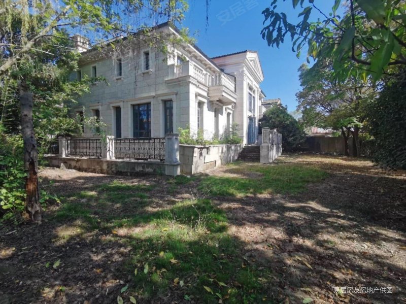 九龙仓国宾一号大独栋,法式我成交过一套过亿的,有钥匙看房方便