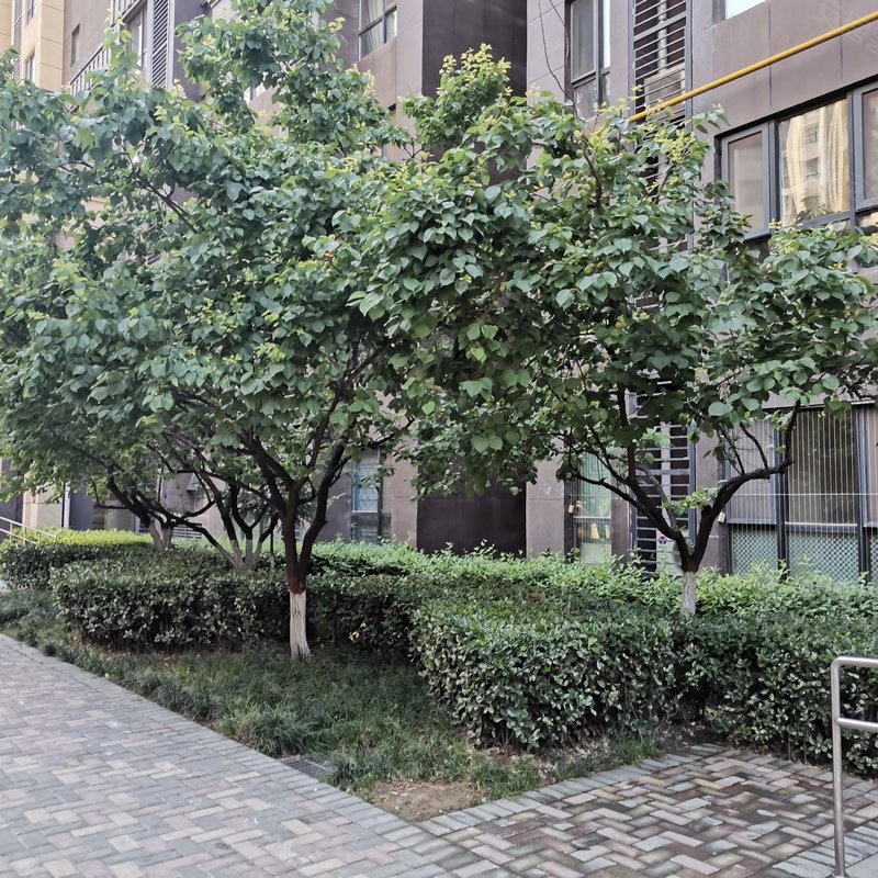 【华远海蓝城(一期), 华远海蓝城(一期)小区专家解读页】- 西安58同城