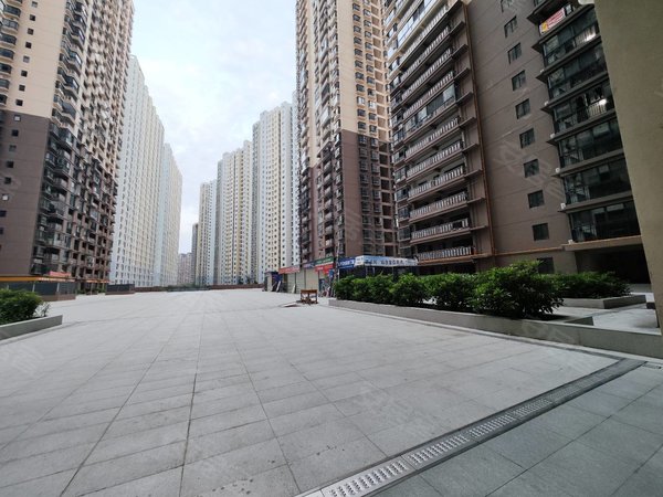 【多图】金河中心,区政府租房,押一付一 吾悦广场旁 电梯大单间 可短