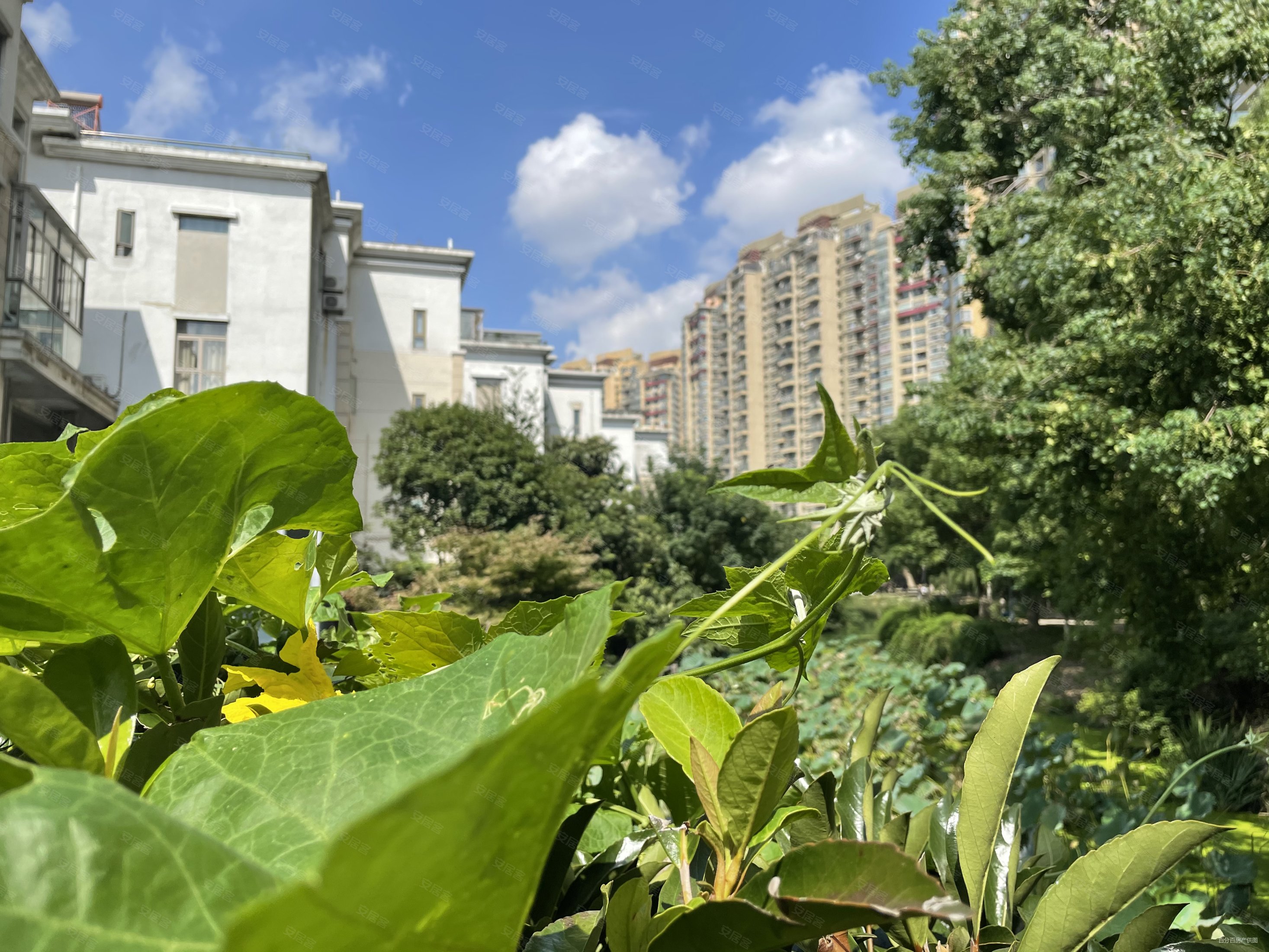 蝶湖湾全朝南2房,中间楼层,看房随时!