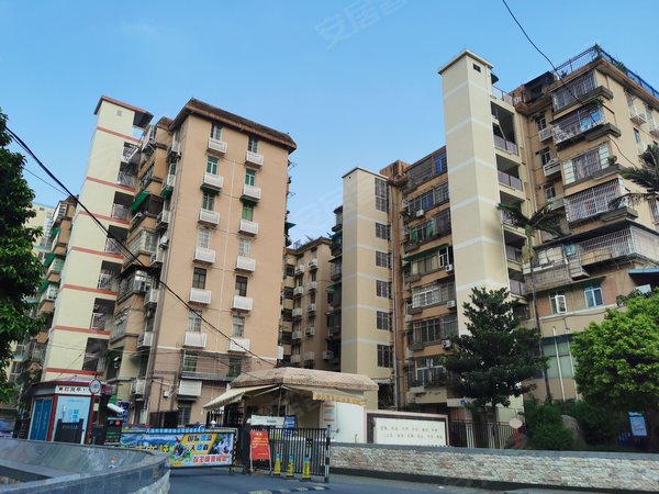 广州黄埔大沙地怡园小区(黄埔)新挂盘 怡园小区 全新电梯两房 南向