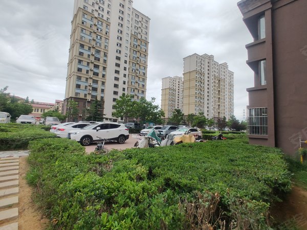 青岛黄岛隐珠天一畔城美林居(319-358)天一美林居 简装大套二 价格