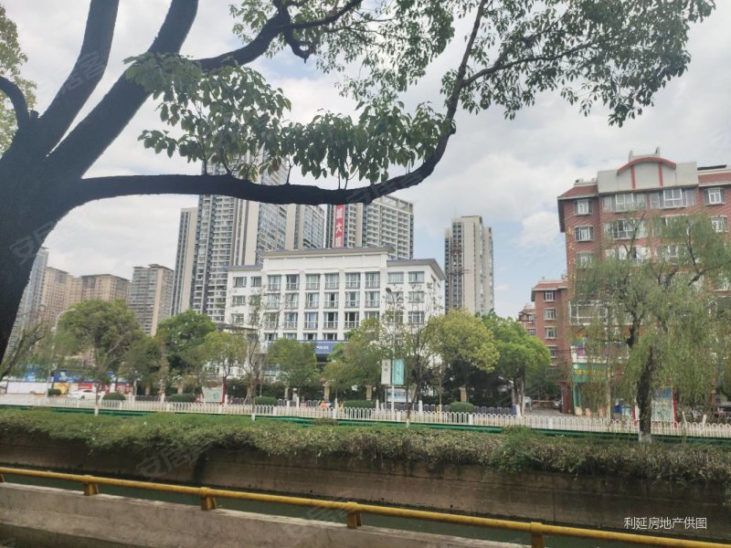 蓝光水岸公园
