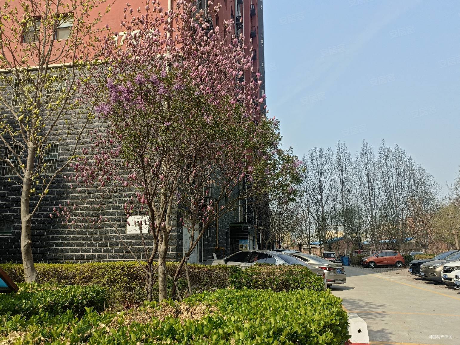 植物园旁金都花园精装三居室