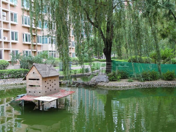 苍南国兴家园白石桥地铁站  国兴家园三居室,家具家电齐全,可看房出租