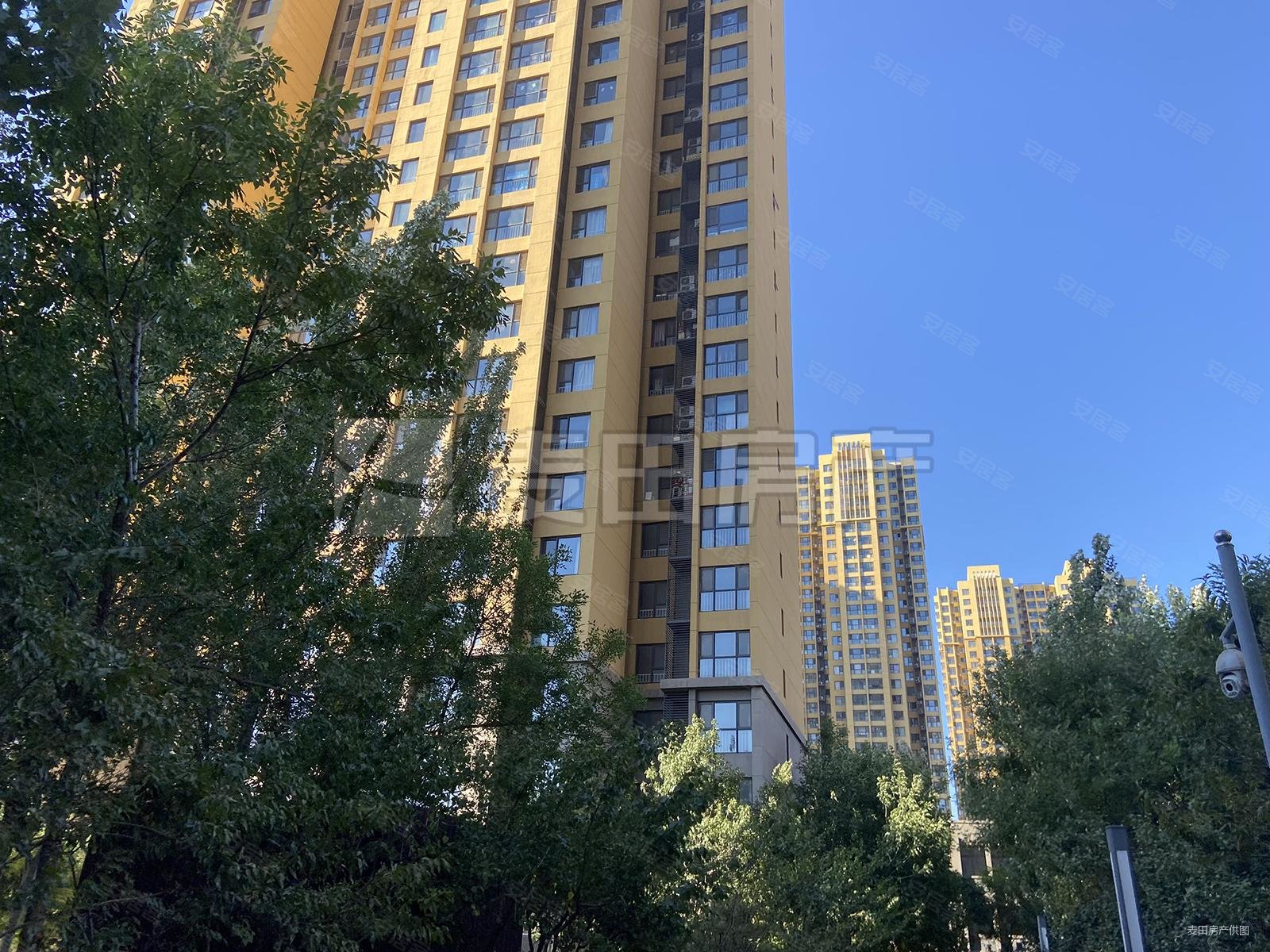 超 高 全南向 高层 视野绝好 直观海淀 稳定,融泽嘉园西6号院二手房