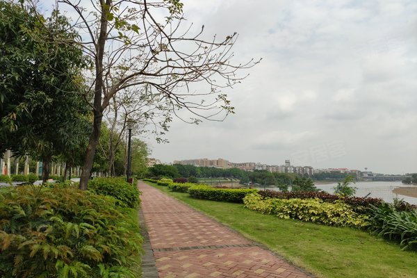 流溪半岛怎么样,好不好_中介房产经纪人:刘平对流溪半岛的评价-广州