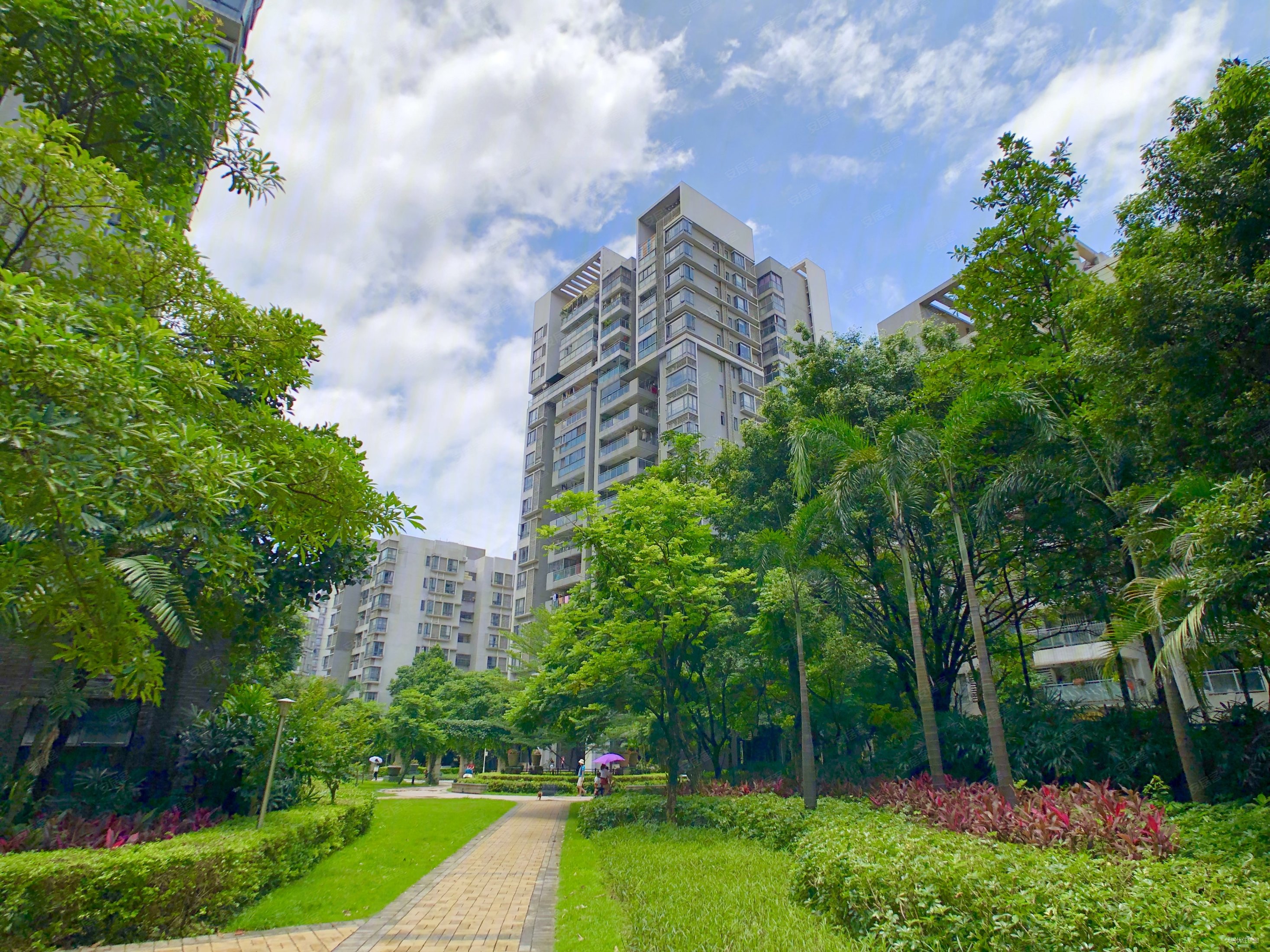 岭南新世界 大两房 有入户 c区中间位置 405万