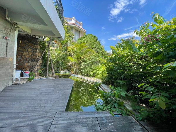 南宁青秀仙葫碧丽山庄江景别墅,仅租9千,碧丽山庄500平别墅,带花园