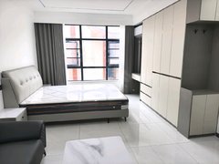 邓州邓州城区邓州市区东湖公馆 1室1厅1卫出租房源真实图片