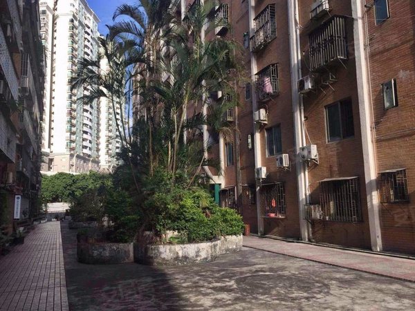 【多图】世界花园米兰居,华侨城租房,华侨城温馨大两房,近世界之窗