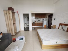 东莞黄江天虹棕榈泉六期星光天地 1室0厅1卫  电梯房 精装修44平米出租房源真实图片