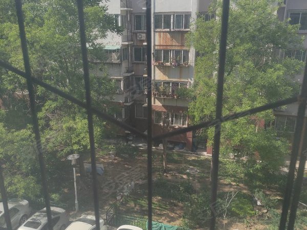 【多图】锦屏家园,奥体中心租房,奥体中心,龙奥大厦,银丰玉兰广场