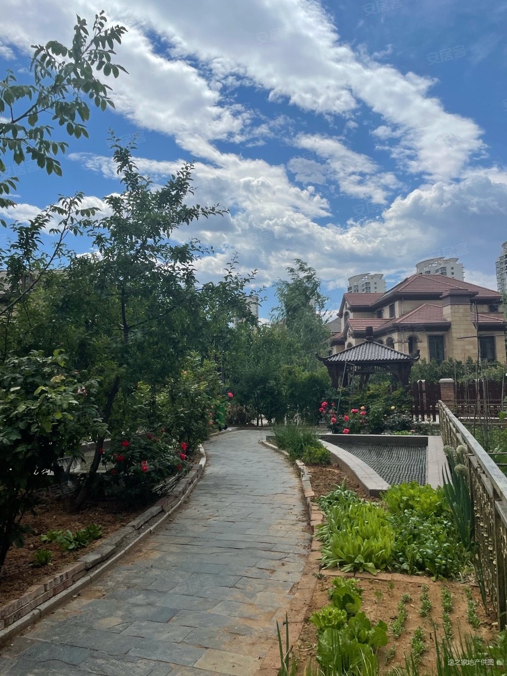 森林逸城一跃二带100平米大花园诚意出售