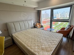 吴侯街 正荣中心天寓 精装单室 新城科技园 金融城