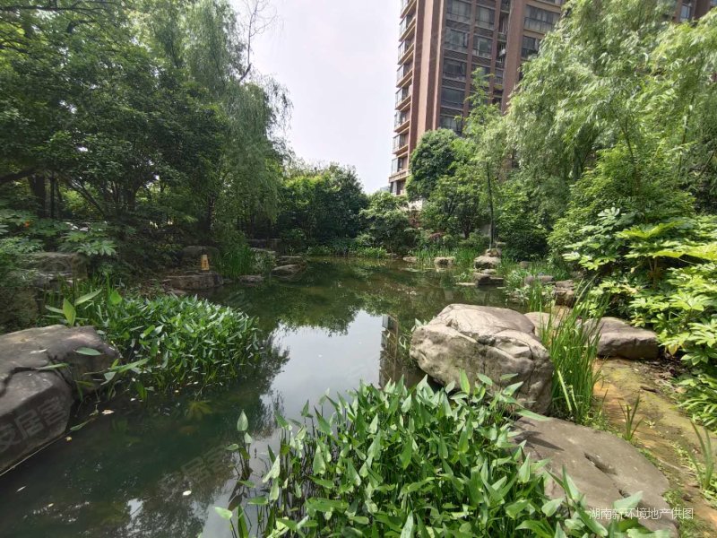 长沙房产网>长沙二手房>开福二手房>广电中心二手房>金色溪泉湾>800