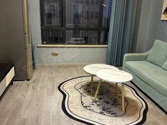 大丰大中大中城区永泰大套公寓，长短租可议，精装，家电齐全，拎包入住出租房源真实图片