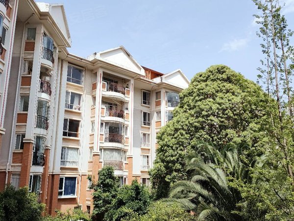 直租月付无中介金盾花园独立阳台广福城同仁医院南悦城