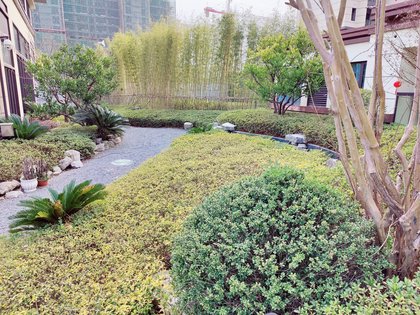 中兆院子,武夷山大道 - 上饶中兆院子二手房,租房,房价-上饶安居客