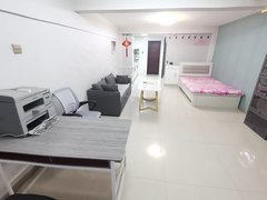 银川永宁望远镇兰花花1期面南复式公寓出租出租房源真实图片