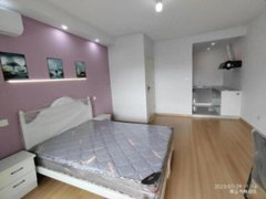 商丘睢阳万达广场万达 日月湖 总部港 商职 幼师 市立医院周边精装公寓出租出租房源真实图片