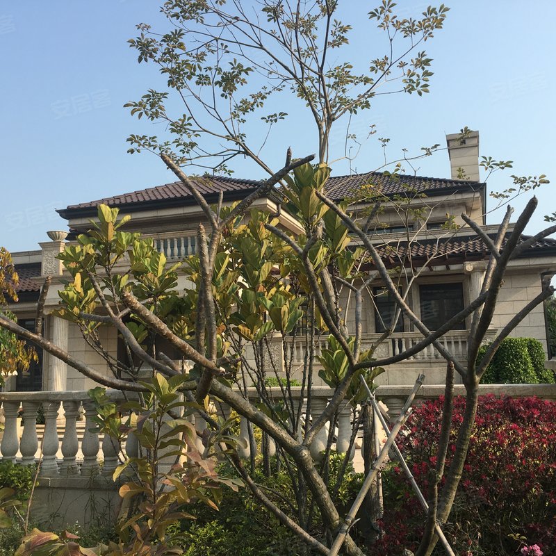 湾二十八玺, 璟湾二十八玺小区详情,房价走势,房源,业主论坛】- 厦门