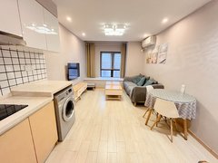 重庆九龙坡奥体中心押一付一金茂悦loft网红公寓 0中介实拍有视频可养宠物出租房源真实图片