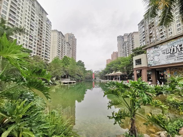 南宁青秀凤岭北荣和大地二组团阳光里凤岭北荣和大地二组团 两梯两户