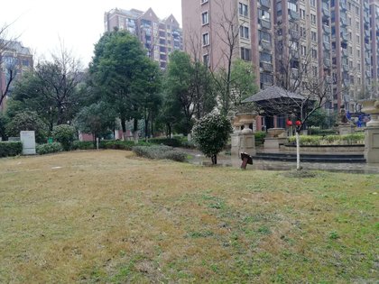 天下锦城温莎城,三河路 - 合肥天下锦城温莎城二手房,租房,房价-合肥