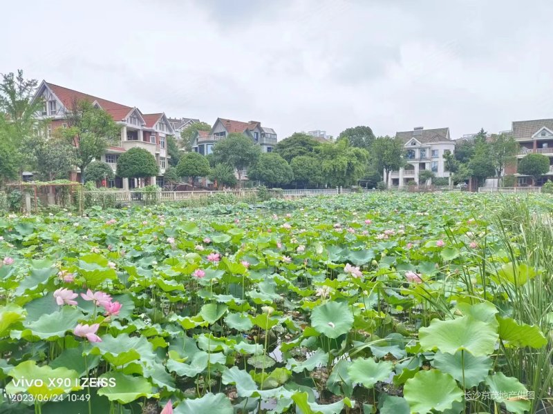 山水英伦庄园精装一楼 诚心出售 配套齐全 带院子 近地铁!