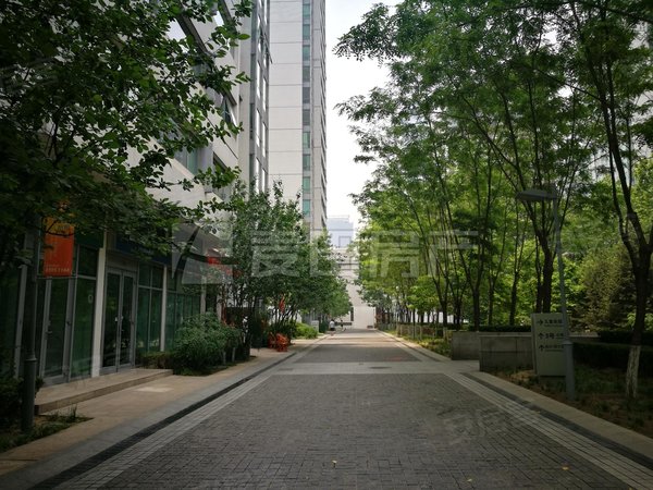 大望路租房,南北通透 2室2厅 华贸公寓,朝阳租房-北京58安居客