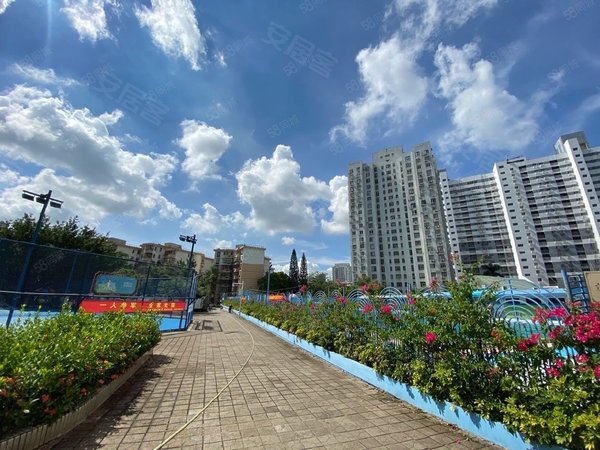 深圳福田莲花村莲花二村莲花二村 豪装3房出租 户型方正南北通透出租