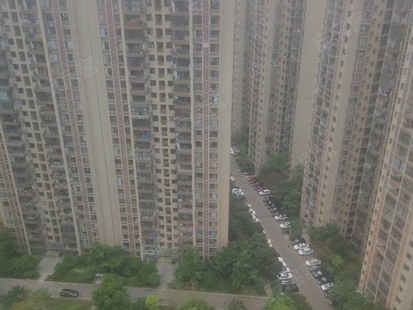 成都高新区南延线新怡花园b区房东直租,中德旁,华府大道地铁口,蓝润