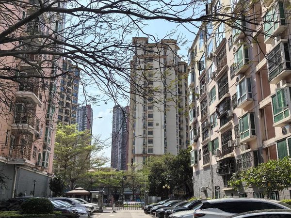 【多图】锦城星苑,龙岗中心城租房,龙岗新生 锦城星苑7房2厅3卫 办公