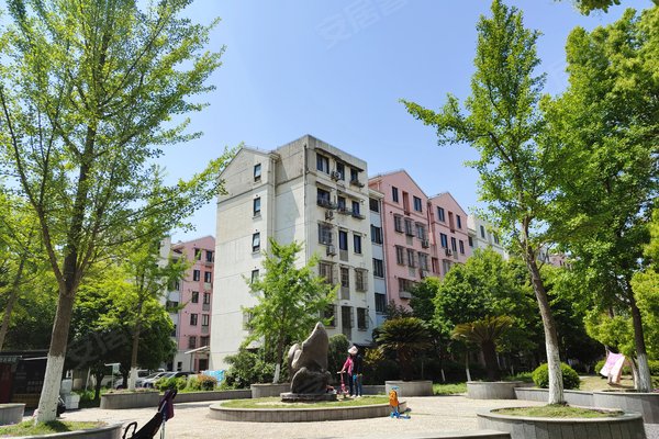 上海二手房 新凯家园(一期) > 崔宇辉解读新凯家园(一期)居民素质