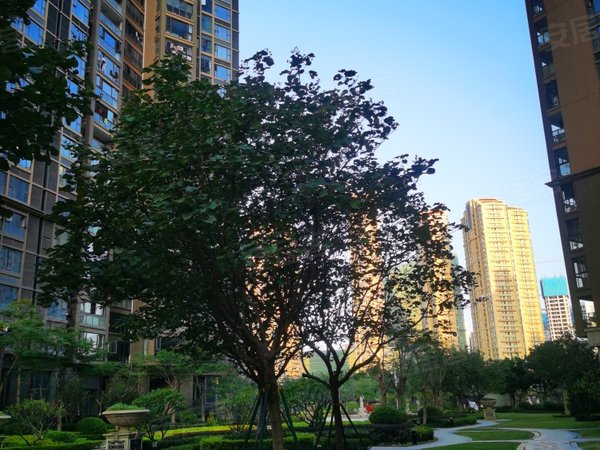 泉州丰泽东海湾东海湾御花园御花园的户型,南北通透户型精装可拎包