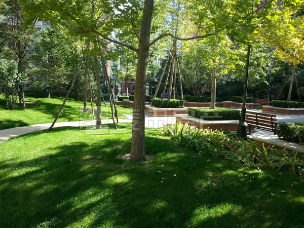 北京西城广安门外西堤红山南北通透,家具家电齐全,豪华装修,带有室外