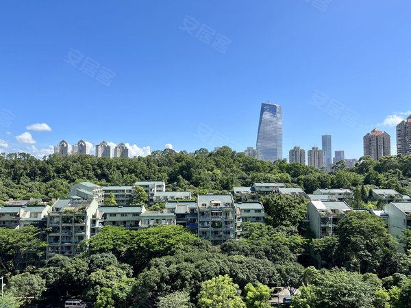 深圳南山华侨城新天鹅堡(三期)急租华侨城 次新豪宅 新天鹅湖花园三期