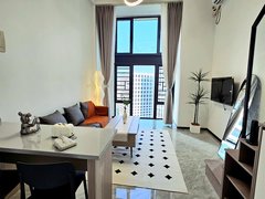 怀化鹤城河西经开区急租 可月付 河西 金口岸 碧桂园附近 复式Loft公寓出租房源真实图片