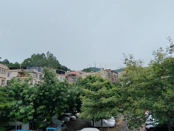 广州天河柯木塱柯木塱塘石中街小区6号线高塘石地铁站100米精装阳台大