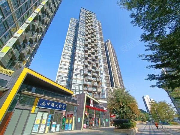【多图】珑门,观澜租房,笋盘!