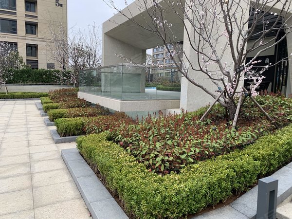 青岛李沧绿城绿城蘭园小高层 套三 高楼层 次新小区 看房方便 近丽达