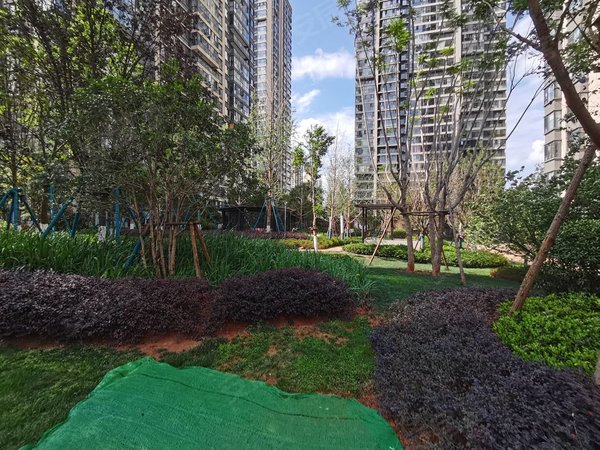 【多图】俊发龙泉俊园,北市区租房,北市区 红云小学旁 俊发龙泉俊园