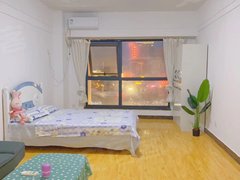 郑州郑东新区金水东路精装一室 朝南落地窗 无中介费 CBD 黄河南路双地铁 特出租房源真实图片
