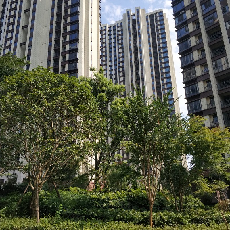 洋沙小镇君澜湾公寓住宅