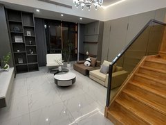 合肥政务天鹅湖置地广场 万象城 银泰in77 天鹅湖万达 天珑广场精装复式出租房源真实图片