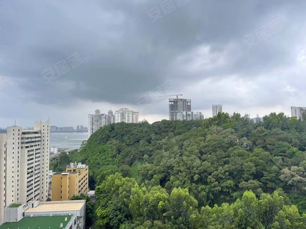 厦门思明湖滨北路禹洲世纪海湾滨北小学六中十一中外国语学校 滨北市