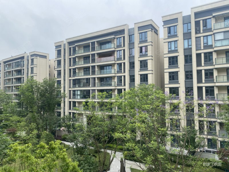 全落地窗洋房横厅88万 正看小区中庭 大横厅 龙湖品质,龙湖嘉天下观园