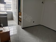 深圳龙岗坂田(已核验)杨马村 品牌公寓 精装修 押一付一 首月免租出租房源真实图片